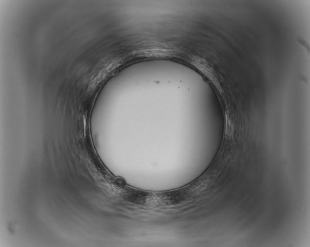 X0000100310109200806261211