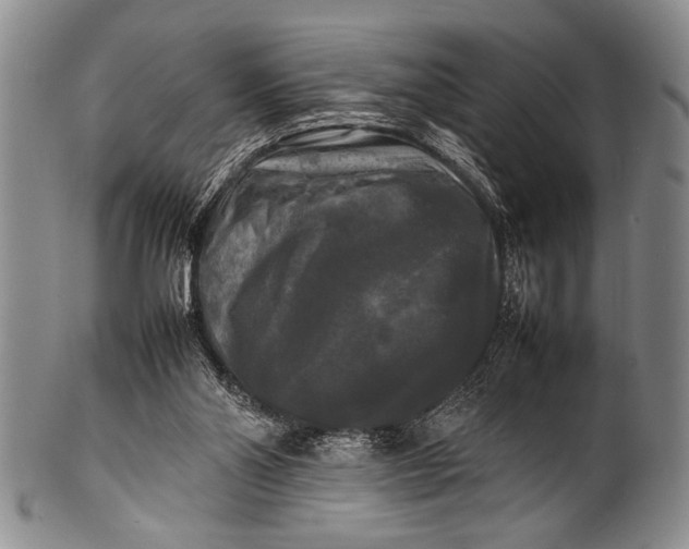 X0000100310110200806261211