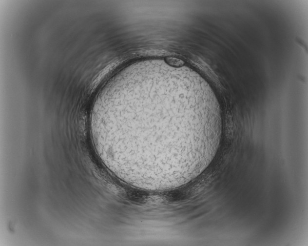 X0000100310111200806261211