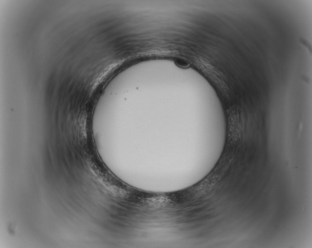 X0000100310112200806261211