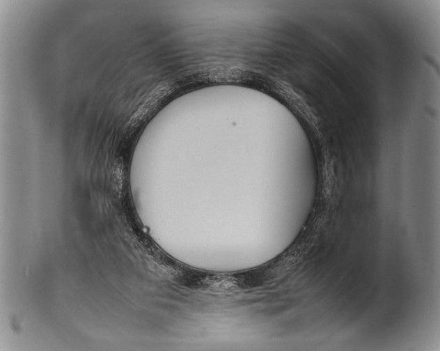 X0000100310113200806261211