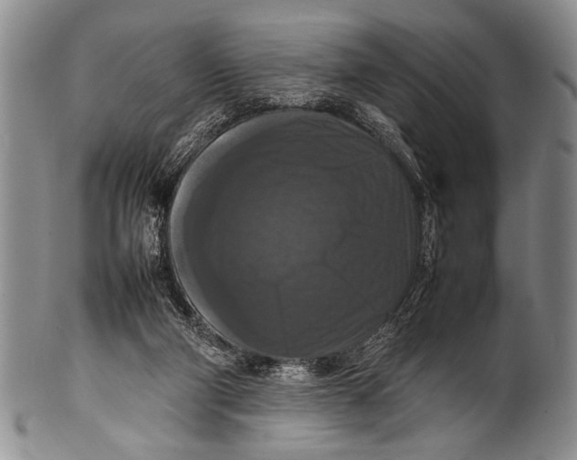 X0000100310114200806261211