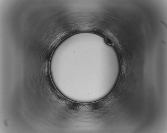 X0000100310115200806261211