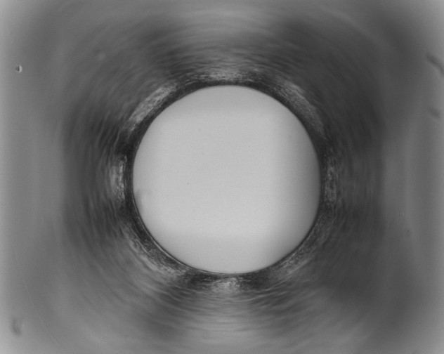 X0000100310116200806261211