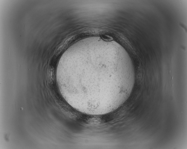 X0000100310119200806261211