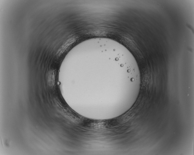 X0000100310120200806261211