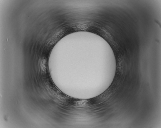 X0000100310122200806261211