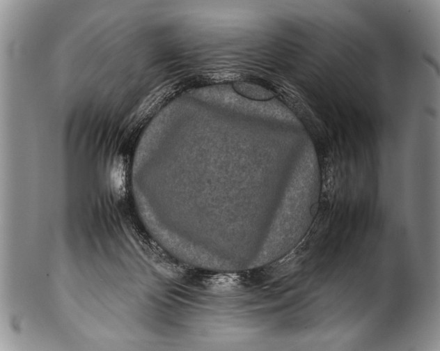 X0000100310124200806261211