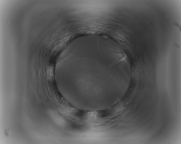 X0000100310127200806261211