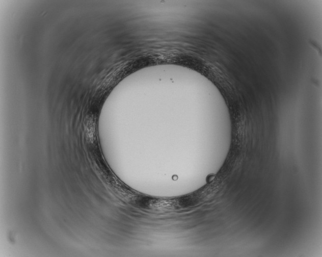 X0000100310129200806261211