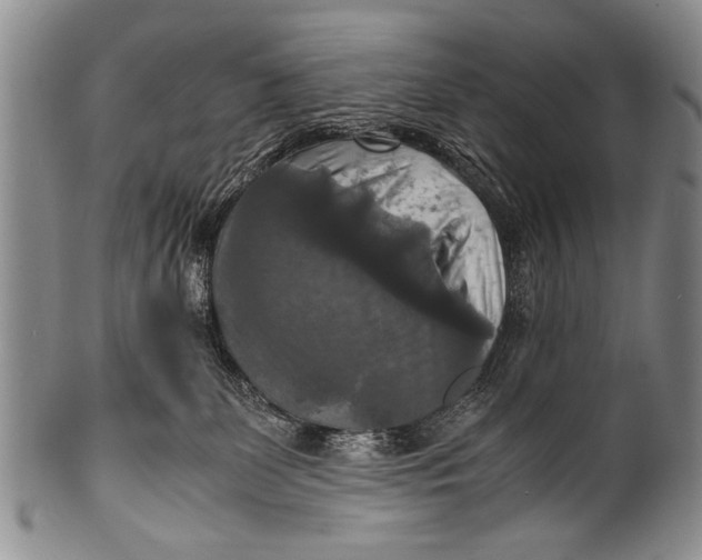 X0000100310131200806261211