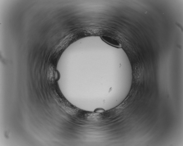 X0000100310132200806261211