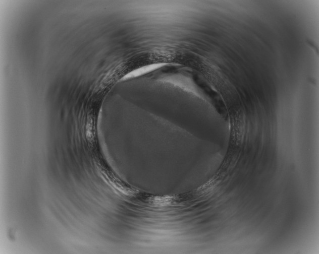 X0000100310134200806261211