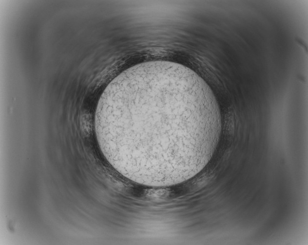 X0000100310135200806261211