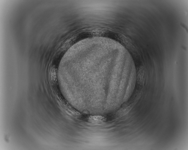 X0000100310137200806261211