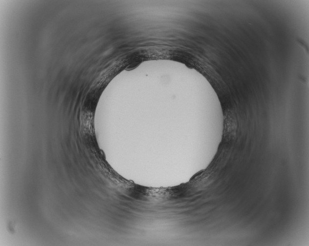 X0000100310141200806261211