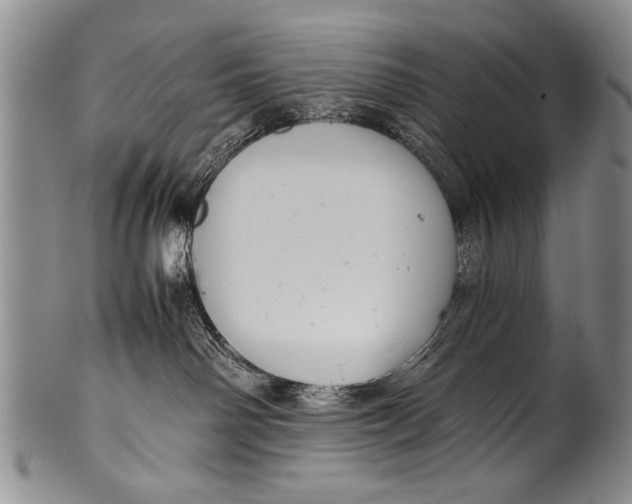 X0000100310142200806261211