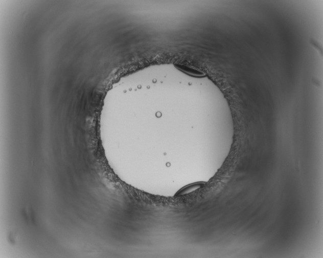 X0000100310144200806261211