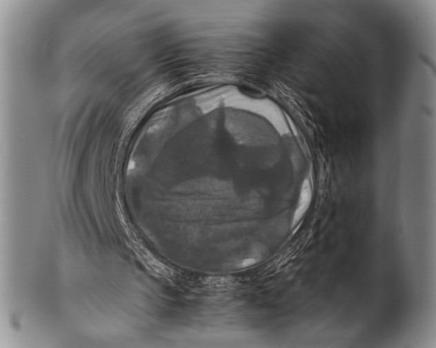 X0000100310145200806261210