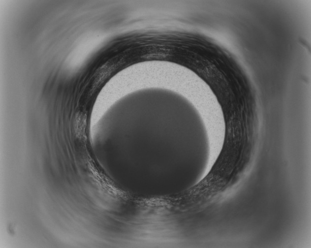 X0000100310146200806261210