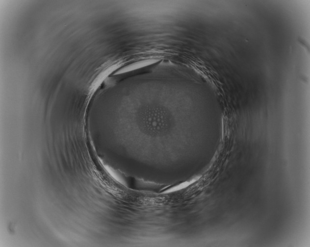 X0000100310147200806261210