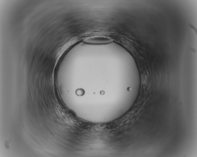 X0000100310148200806261210