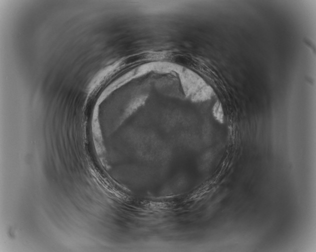 X0000100310149200806261210