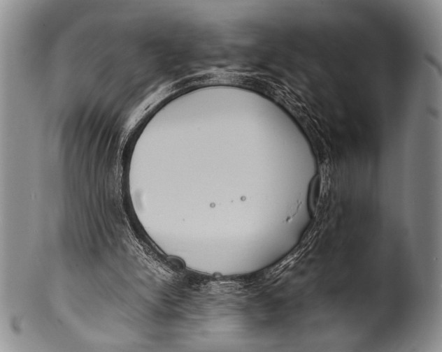 X0000100310150200806261210