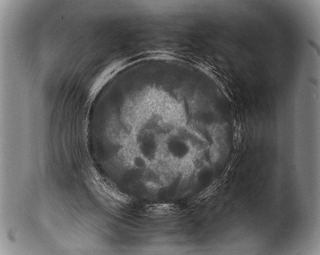 X0000100310151200806261210