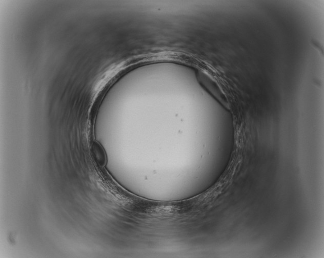 X0000100310152200806261210