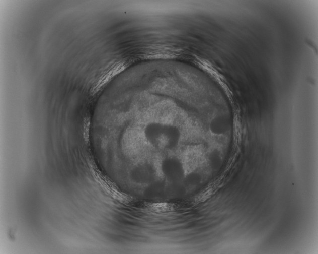 X0000100310153200806261210