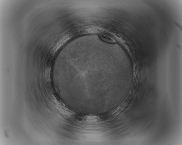 X0000100310154200806261210