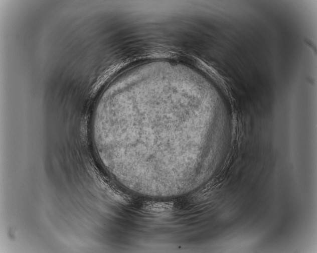 X0000100310155200806261210