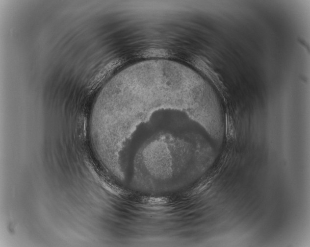 X0000100310157200806261210