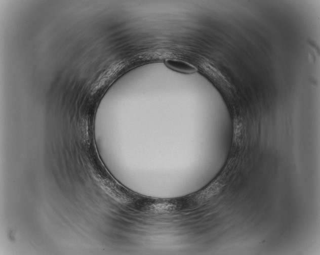 X0000100310158200806261210