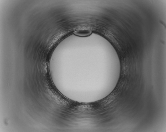 X0000100310160200806261210