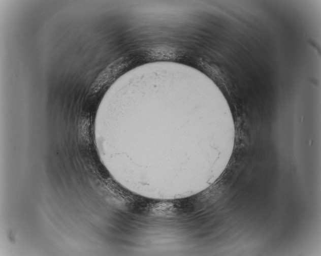 X0000100310162200806261210