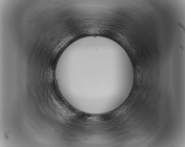 X0000100310164200806261210