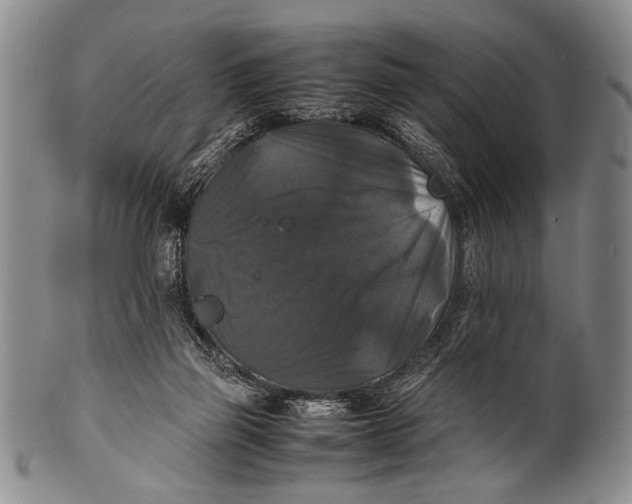 X0000100310165200806261210