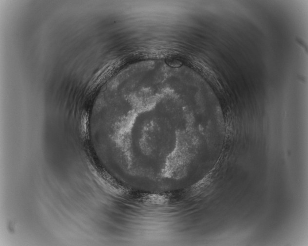 X0000100310166200806261210