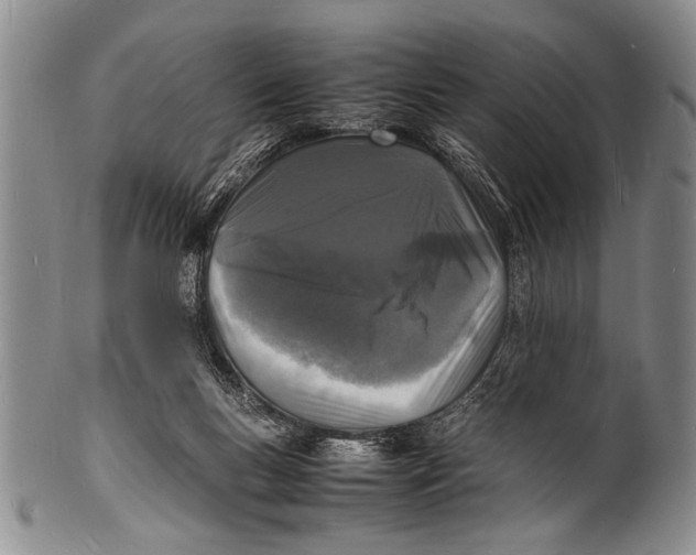 X0000100310167200806261211