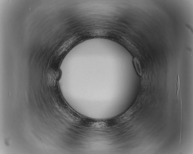 X0000100310168200806261211