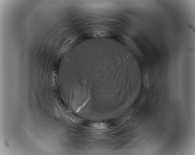 X0000100310169200806261211