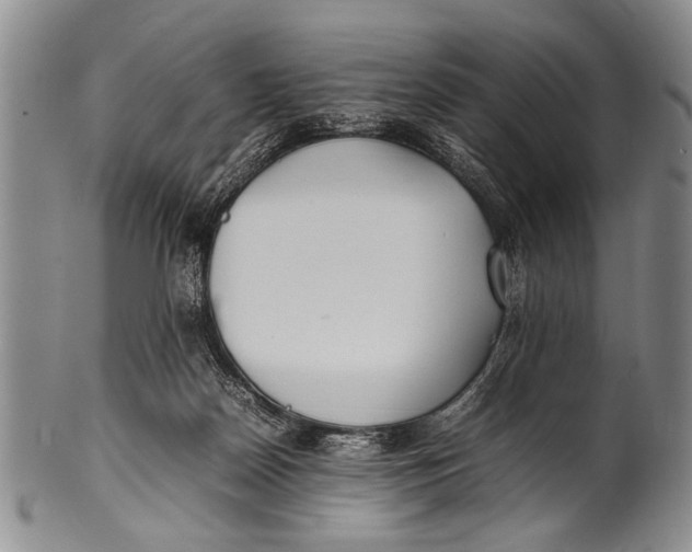 X0000100310170200806261211