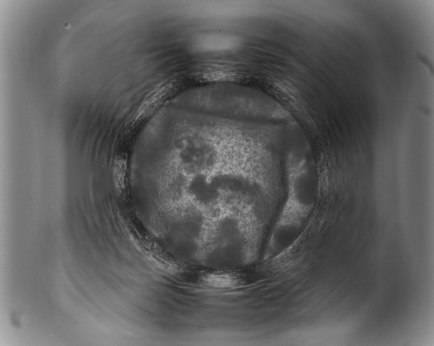 X0000100310171200806261211