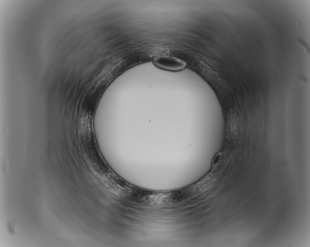 X0000100310172200806261211