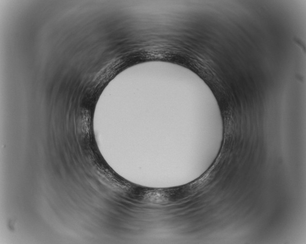 X0000100310174200806261211