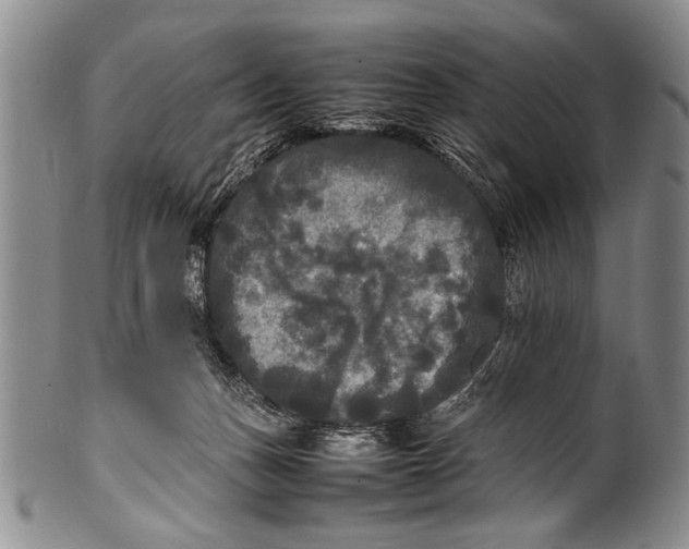 X0000100310175200806261211