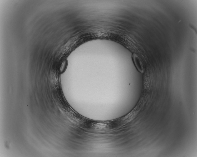 X0000100310176200806261211