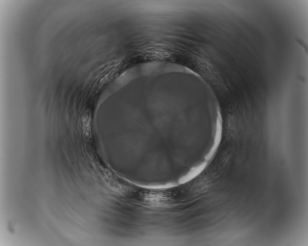 X0000100310177200806261211